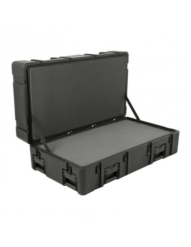 SKB CASES 4222-14