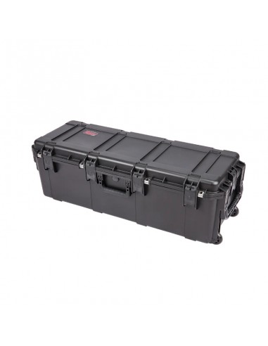 SKB CASE 3913-12