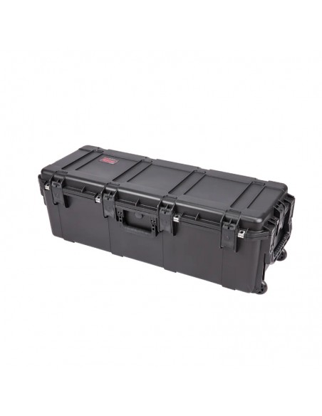 SKB CASE 3913-12